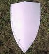 IR40527PLANE SHIELD