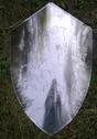 IR40539 SHIELD